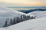Ciaspolata al Pizzo Formico da Barzizza di Gandino (4 dicemnbre 08)  - FOTOGALLERY
